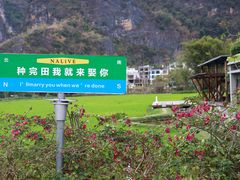 -明仕田园