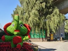 -长白岛森林公园