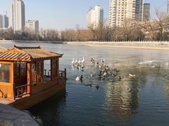 -迎泽公园