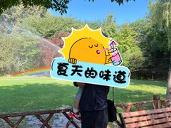 -潇湘甲鱼村(清河店)