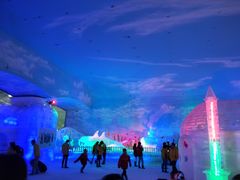 -世界之窗阿尔卑斯冰雪世界