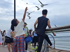 -东港音乐喷泉广场