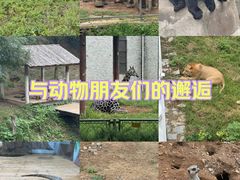 -天津市动物园