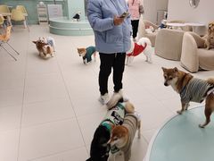 -怪兽屋·羊驼·猫咖·狗咖(俊华广场店)