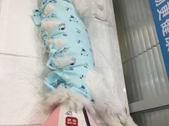 -美迦爱-牙专科·兔科·骨科诊疗中心(北苑店)