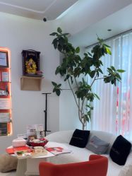 -WENDY·温迪皮肤管理