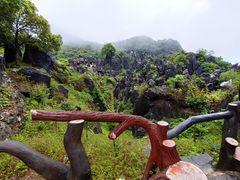 -玉石林风景区