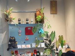 -Dogi&kiki Coffee(中心商务大厦店)