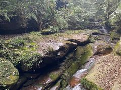 -碧峰峡风景区