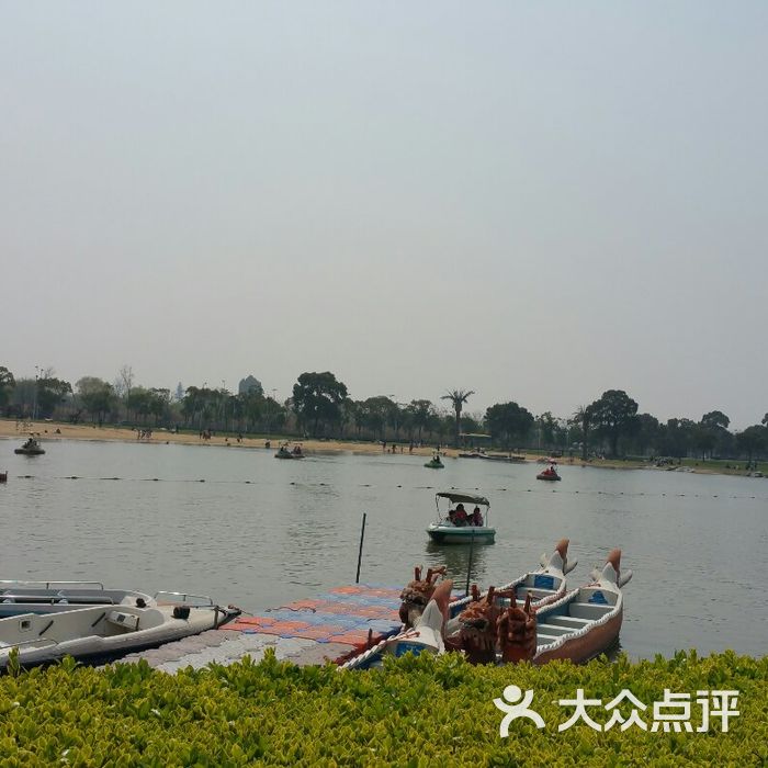 上海月湖雕塑公园钓鱼图片