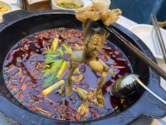 红汤美蛙-蛙鱼潭美蛙鱼头(时代天街店)