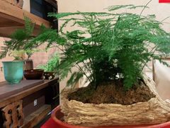 -畅和茶坊·曦瓜中国大红袍