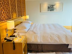 -广州白天鹅宾馆