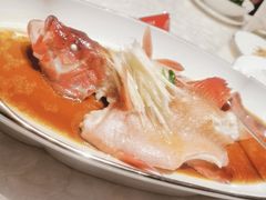 -人间采蜜(海信广场店)