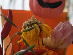 -Bracket Coffee(工体店)