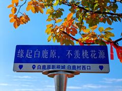 -白鹿原影视城