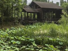 -长广溪湿地公园