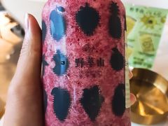 -野萃山·潮汕厚果汁(十亩地店)