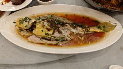 -光大会展中心国际大酒店-宴会厅