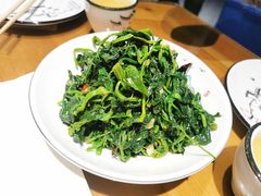 -真定郝家排骨(大十字街店)