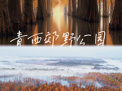-上海海湾国家森林公园