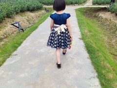 -广东花都香草世界旅游度假区