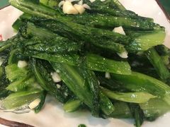 油麦菜-鱼乐岛餐厅·户外花园主题餐厅