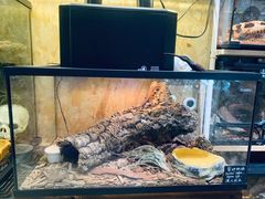 -Rabbit Cafe私房西餐甜点咖啡(栖霞路店)