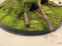 -田园·晶品会(鹤庆路店)