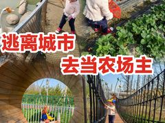 -前小桔亲子创意农场·草莓采摘·露营烧烤
