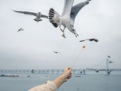 -星海广场