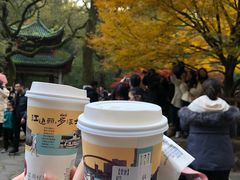 声声乌龙-茶颜悦色(岳麓山顶店)