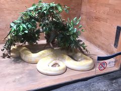 -威海华夏城景区