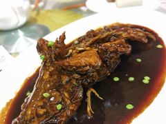 -老吉士酒家(天平路店)