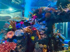 -成都浩海立方海洋公园