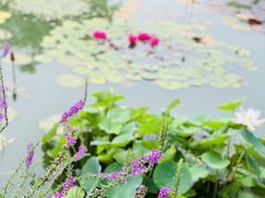 -国家植物园南园
