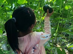 -万源龙顺度假庄园生态观光园