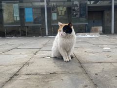 -北京石刻艺术博物馆(五塔寺)