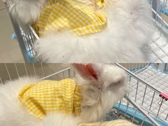 -怪兽屋·羊驼·猫咖·狗咖(俊华广场店)