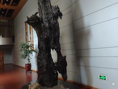 -峨眉山世纪阳光大酒店(峨眉高铁站店)