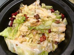 酱爆莲白-金龙渔港(双楠店)