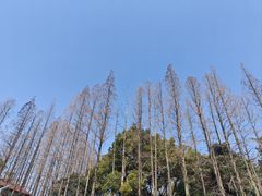 -云间粮仓
