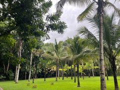 -中国科学院西双版纳热带植物园