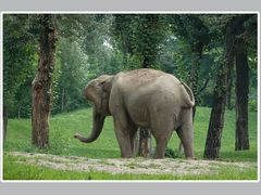 -西安秦岭野生动物园