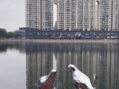 -西北湖绿化广场