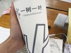 -一树一叶·福建茶档(石鼓路店)