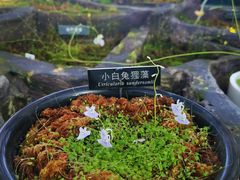 -国家植物园南园