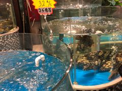 -蓬川食府(金海道店)