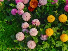 -海心沙亚运公园