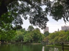 -晓港公园